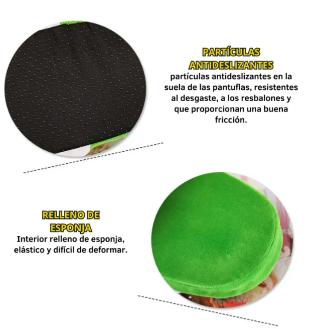 🌱Pantuflas Planta Carnívora